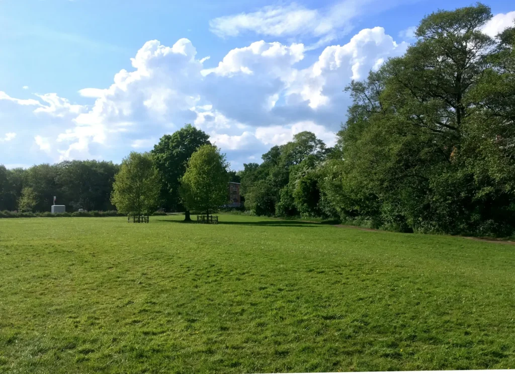 A wide open green lawn with several trees in the distance under a bright blue sky with fluffy white clouds.