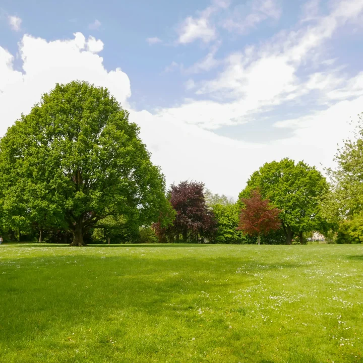 A vibrant green lawn with a variety of trees, including a large central tree, under a partly cloudy blue sky.